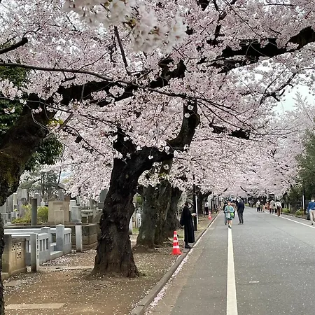 Sakura Hotel Nippori-2