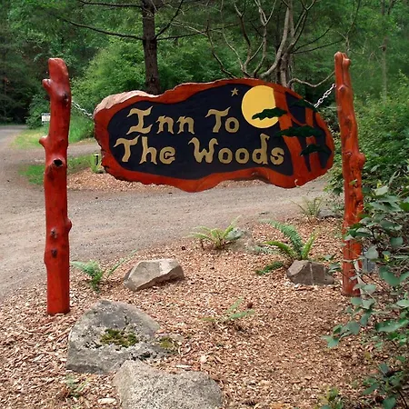 Inn To The Woods-3