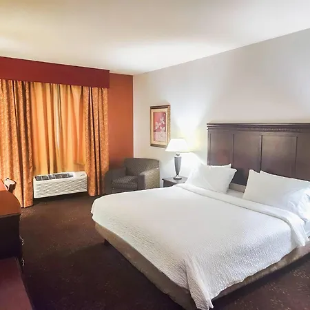 Country Inn & Suites By Radisson, Terrell-3