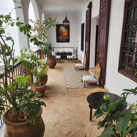 Riad Amira-3