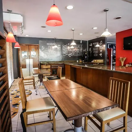 Ibis Teresina-2