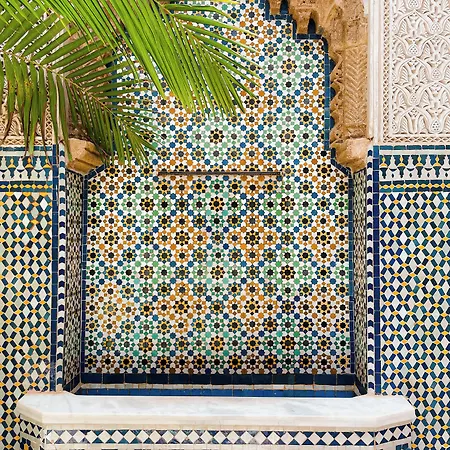 Riad Zyo-3