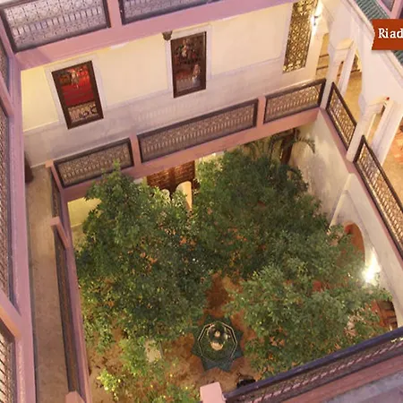 Riad Sidi Ayoub-2