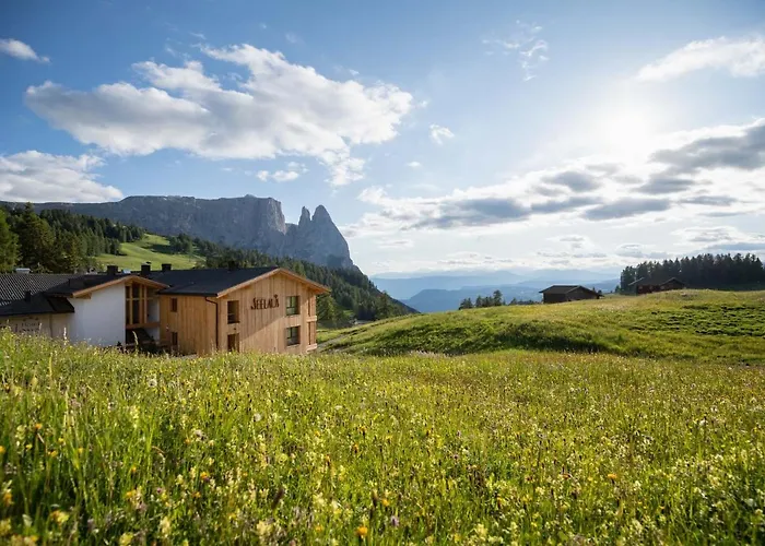 Hotel Seelaus