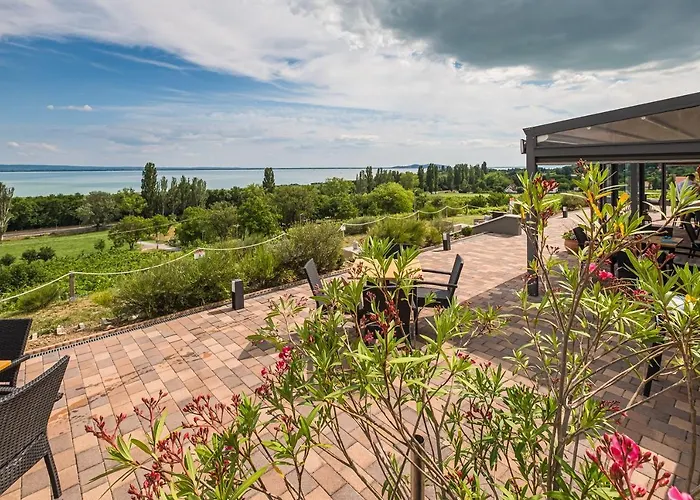 Vitis Kuria 7171 Balatonrendes