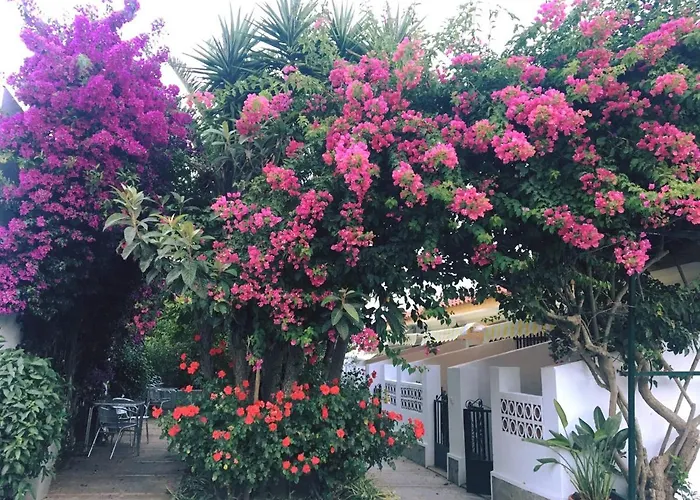 Hotel Antonio Conil