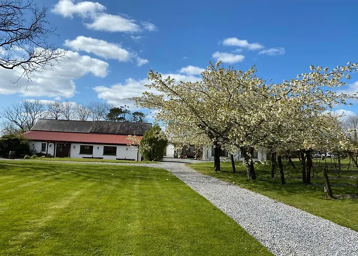Jabajak Vineyard Restaurant&Rooms