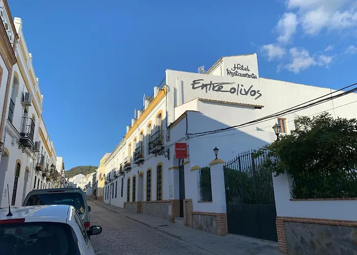 Hotel Entreolivos