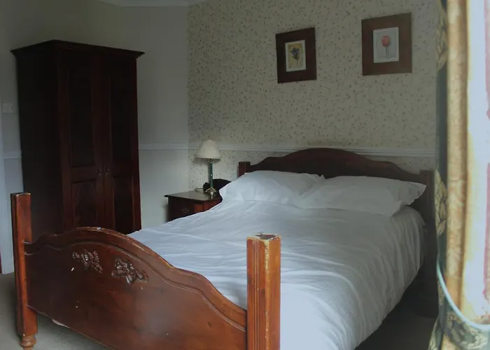 The Buck Hotel