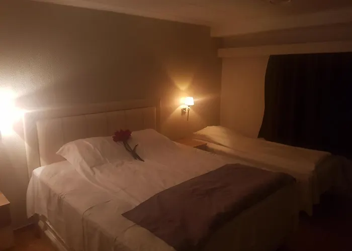 Hotellmilano As