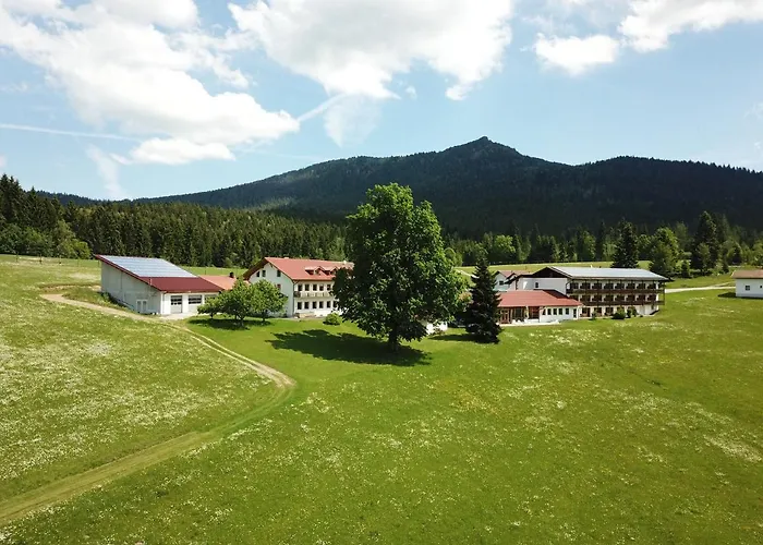 Osserhotel - B&B Am Osser