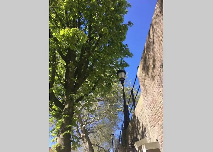 Werfkelder aan de Oudegracht