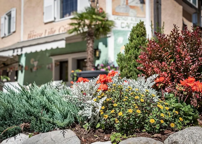 Hotel Weisse Lilie - B&B