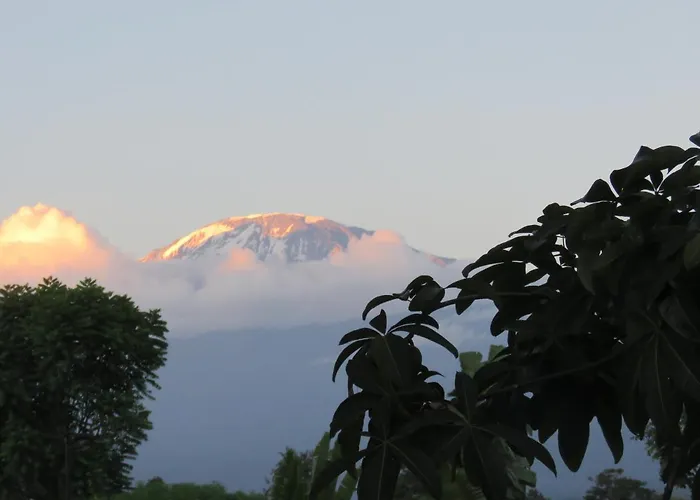 Kilimanjaro White House Hotel