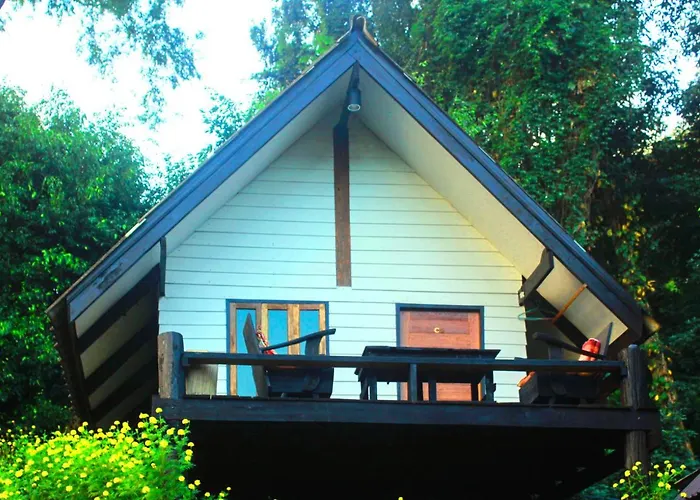 Jungle Guest House