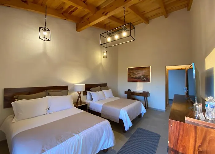 Hotel Quinta Del Bosque