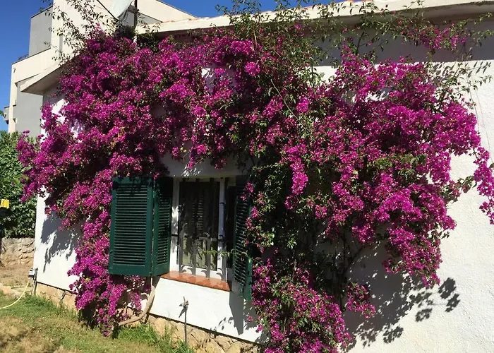 La Casa Del Bosc, Playa Y Golf - Salou