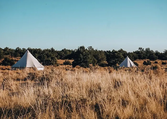 Wander Camp Grand Canyon