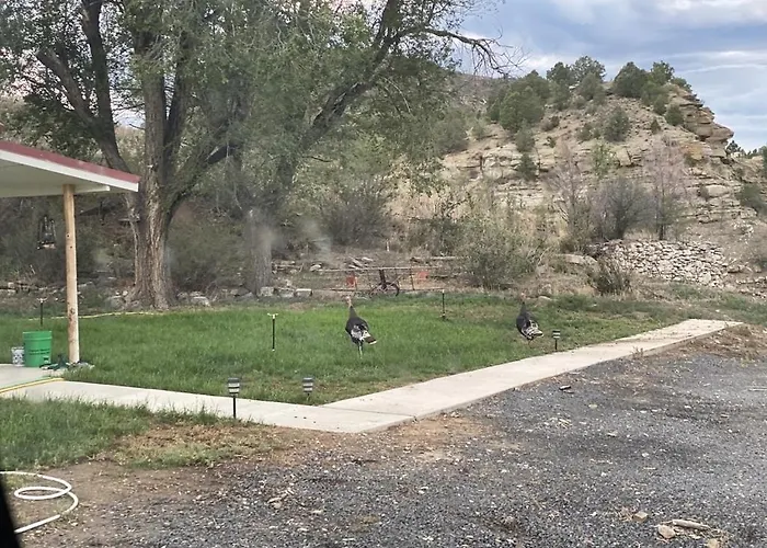 Valentine'S Northern New Mexico Mountain Ranch On Colorado Border Retreat