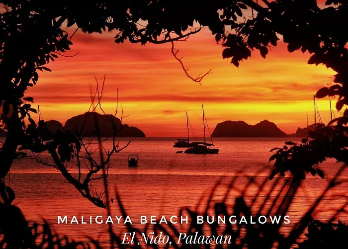 Maligaya Beach Bungalows