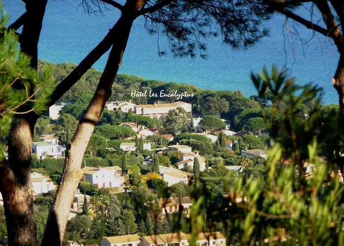 Hôtel les Eucalyptus