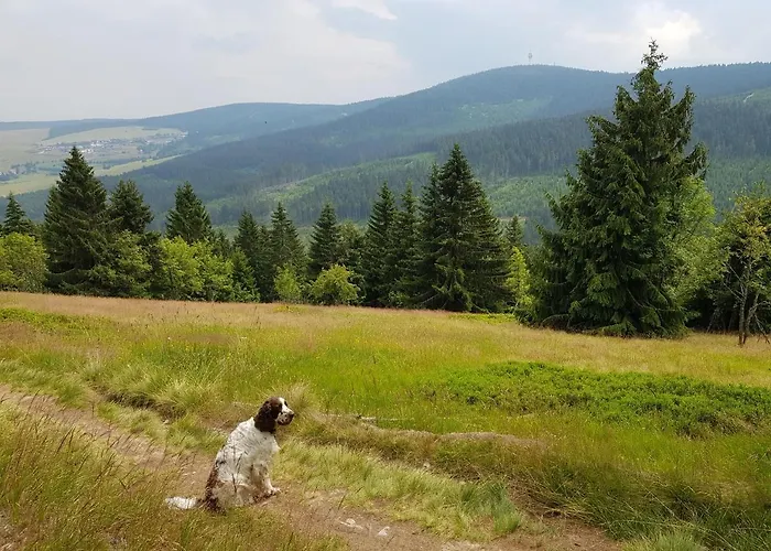 Ferienwohnung Grenzblick