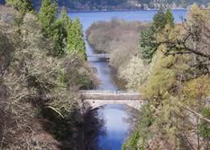 Foyers Roost