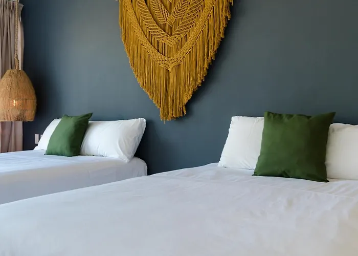 Sanyama Holbox