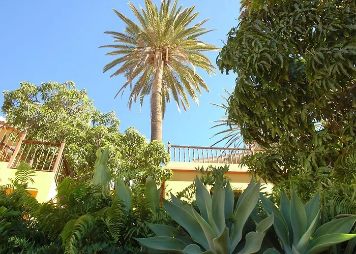 Hotel Jardín Concha