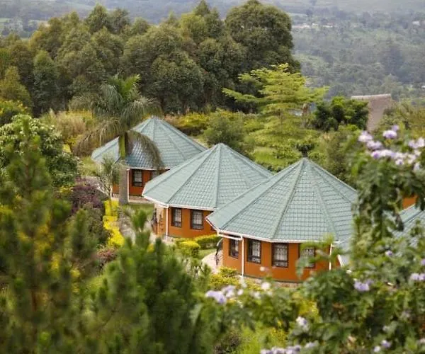 Top Of The World Lodge