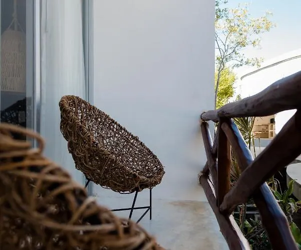 Sanyama Holbox