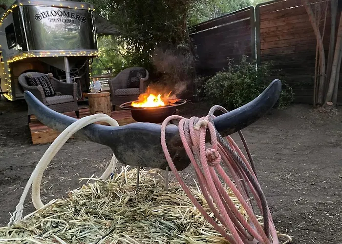 The Pony Experience; Glamping With Private Petting Zoo