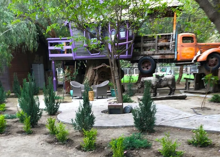 The Pony Experience; Glamping With Private Petting Zoo