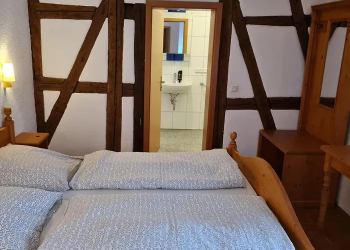 Hotel Kartaeuser Hof Mainz Bodenheim