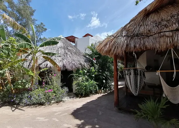 Casa Mech