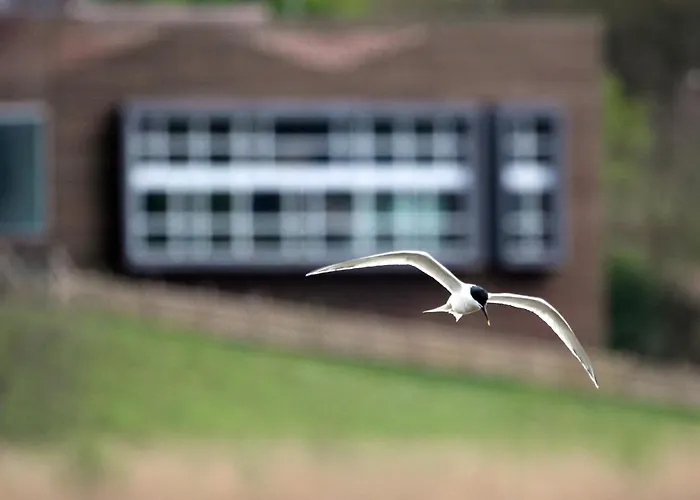 Urdaibai Bird Center