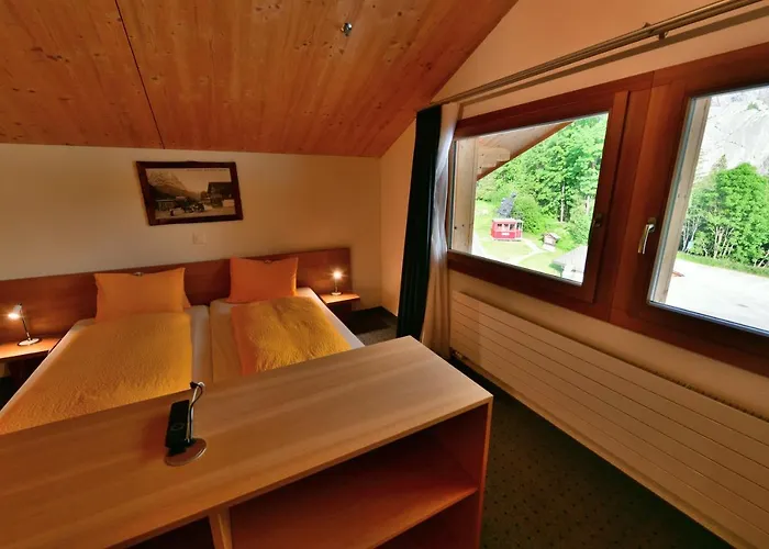 Hotel Wetterhorn