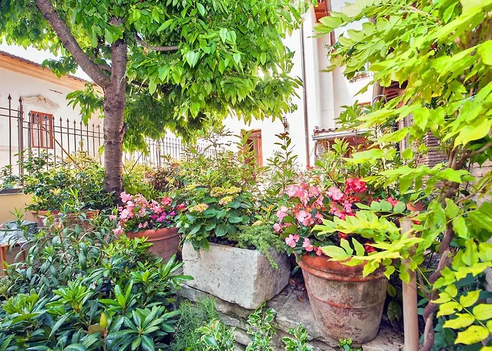 B&B BONE NOVELLE dimora storica palazzo zuzi