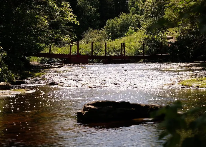 Rocky Brook Acres