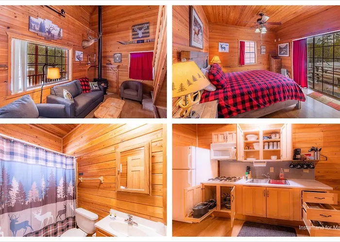 Cabin #4 The Wolves Den - Pet Friendly- Sleeps 6 - Playground & Game Room