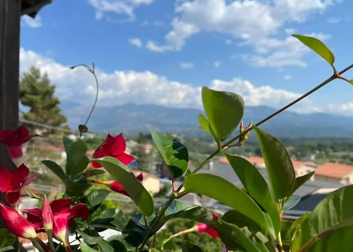 Hotel Pino Loricato