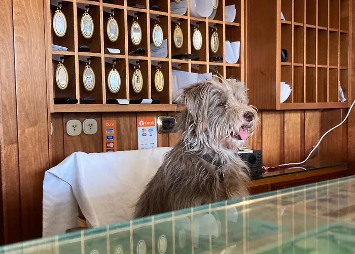 Hotel Ping Pong