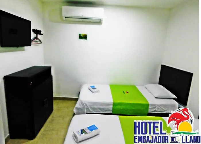 Hotel Embajador Del Llano