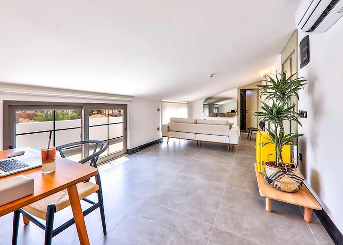 Luff Suites
