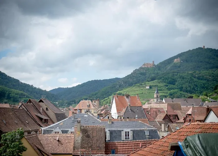 L' Hôtel&Spa Ribeauville-Colmar Nord