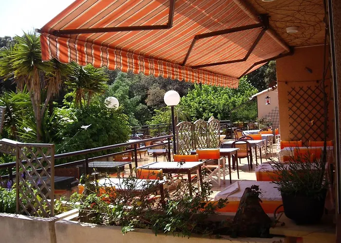 Hôtel Les Palmiers
