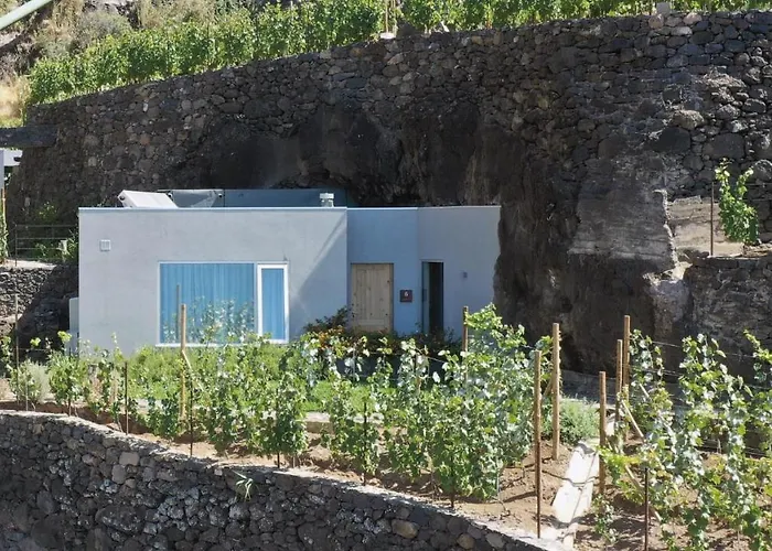 Socalco Nature Calheta