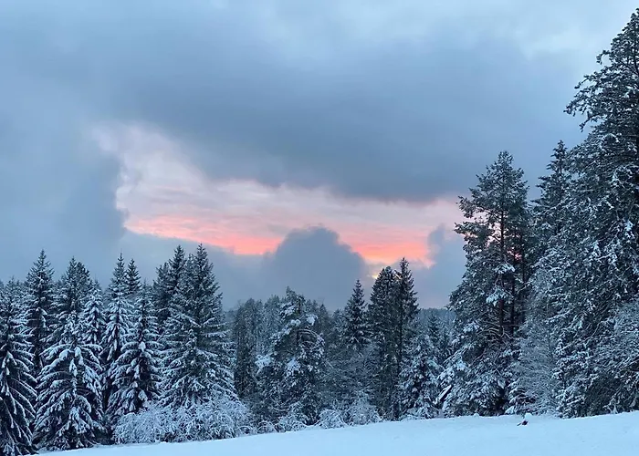 Schwarzwald Wohnung Kniebis