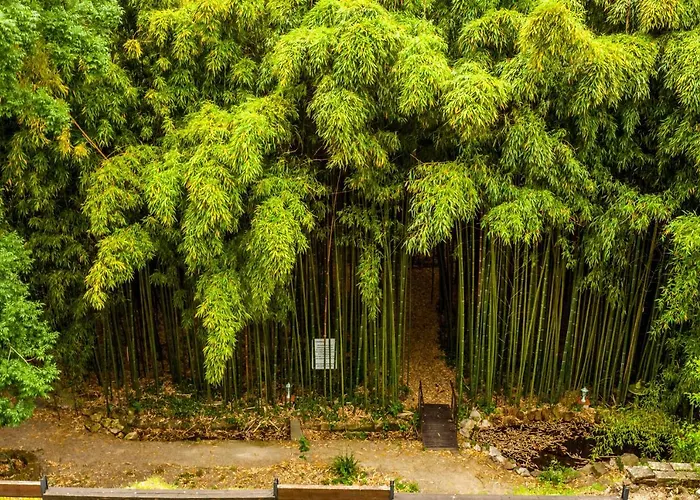 La Verrerie