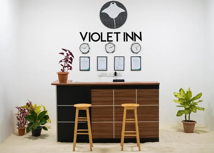 Violet Inn Hotel